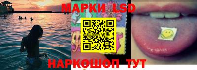 прущие грибы Будённовск