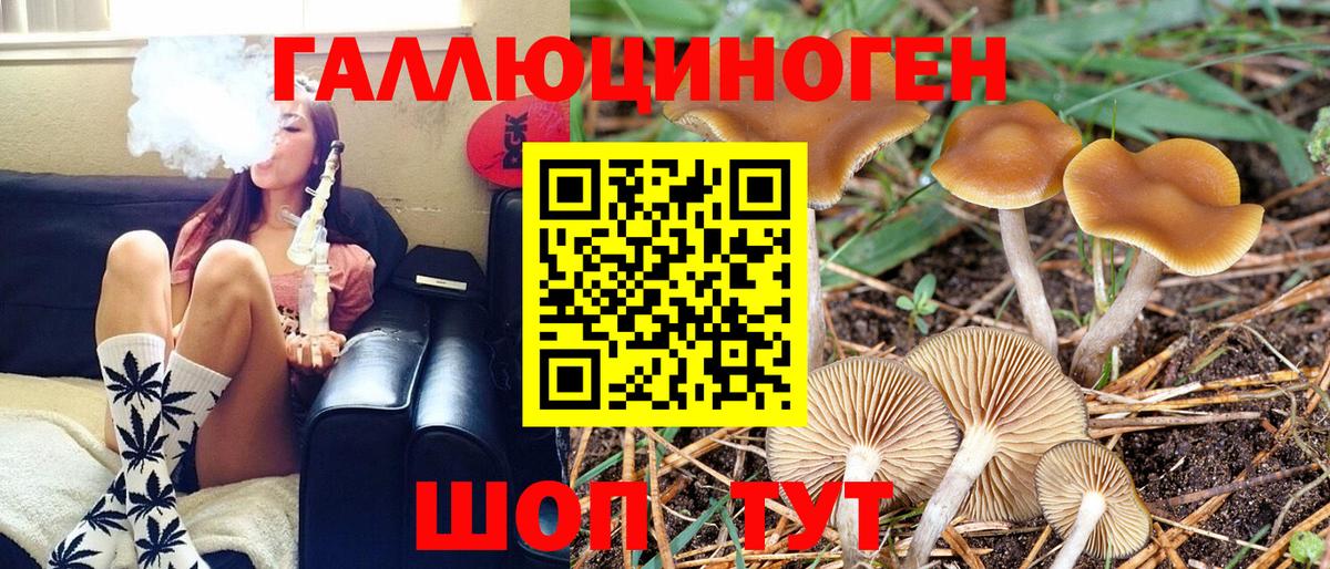 Галлюциногенные грибы Cubensis Тельмана