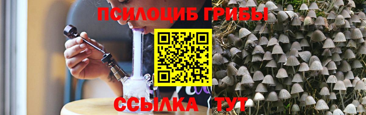 Тельмана  Псилоцибиновые грибы Psilocybe  Вход с VPN  Псилоцибиновые грибы MAGIC MUSHROOMS 